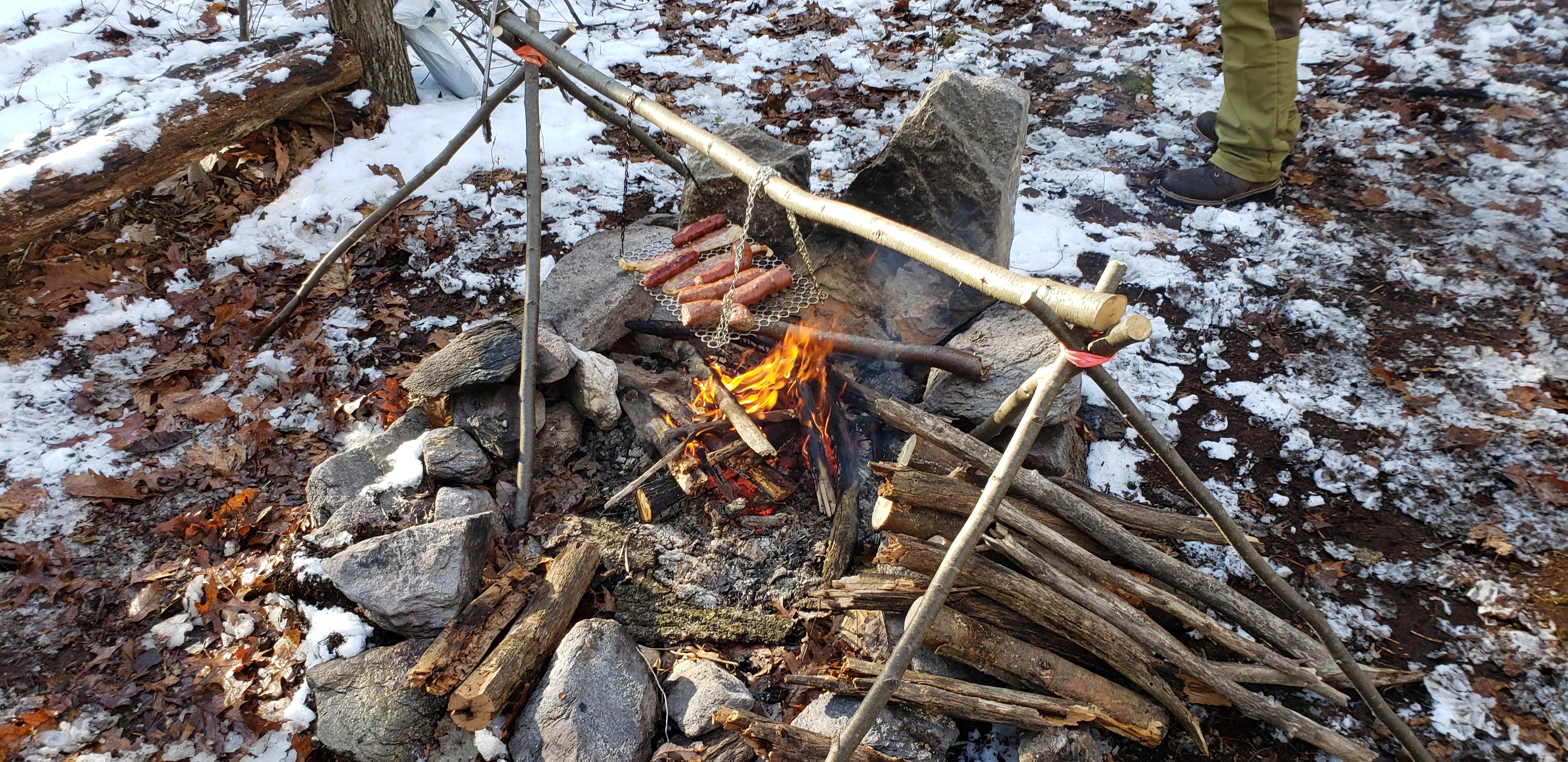 Camper submitted image from Michaux State Forest - 5