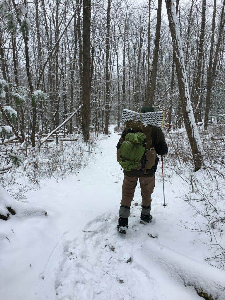 Camper submitted image from Michaux State Forest - 4