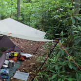 Review photo of Black Moshannon State Park Campground by John S., October 28, 2020