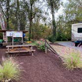 Review photo of Buddy Bear In The Smokies Campground by JR B., October 28, 2020