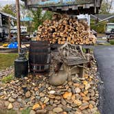 Review photo of Buddy Bear In The Smokies Campground by JR B., October 28, 2020