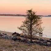 Review photo of Brushy Creek by Rachel J., October 19, 2020