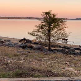 Brushy Creek