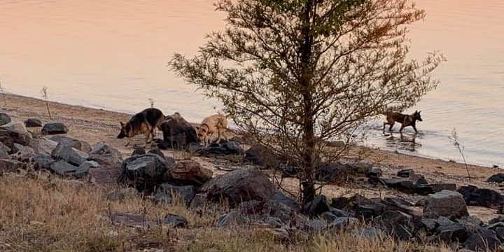 Camper submitted image from Brushy Creek