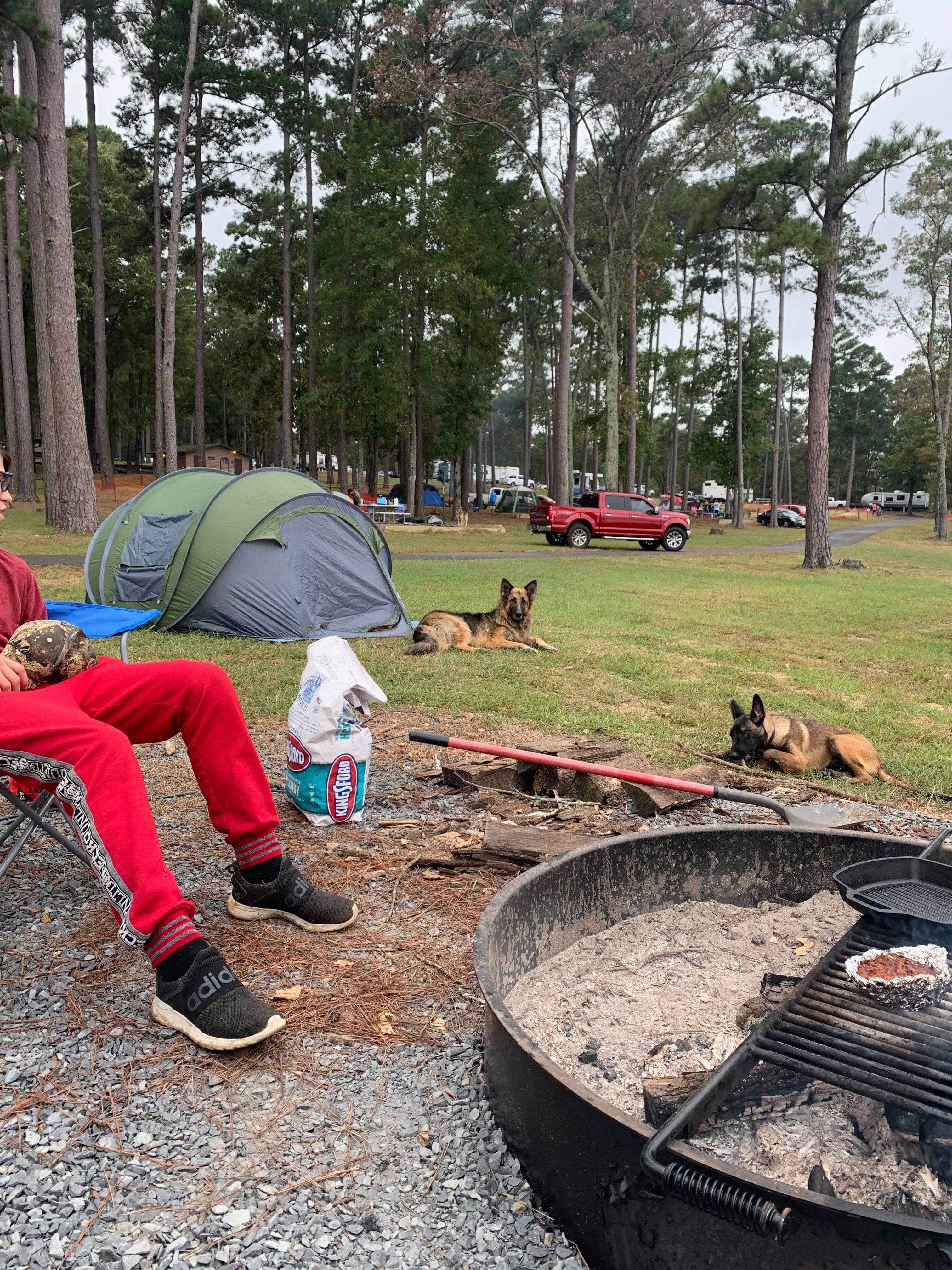 Rachel J.'s photo of camping with pets at Brushy Creek near Easton, TX