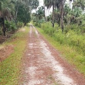 Review photo of Hillsborough River State Park Campground by Dale G., October 28, 2020