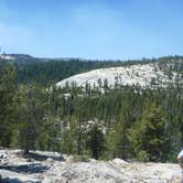 Review photo of Tuolumne Meadows Campground — Yosemite National Park by Rachel O., May 22, 2018