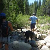 Review photo of Tuolumne Meadows Campground — Yosemite National Park by Rachel O., May 22, 2018