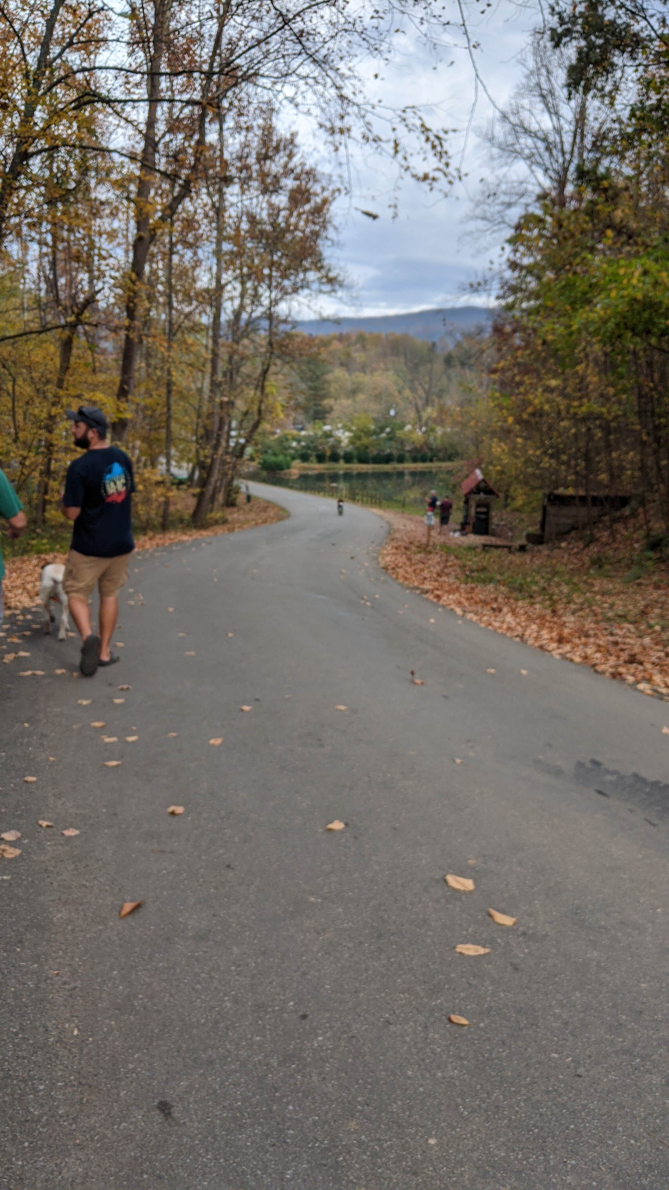 Erin W.'s photo of camping with pets at Misty Mountain Camp Resort near Stuarts Draft, VA