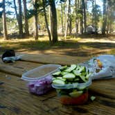 Review photo of Tuolumne Meadows Campground — Yosemite National Park by Rachel O., May 22, 2018