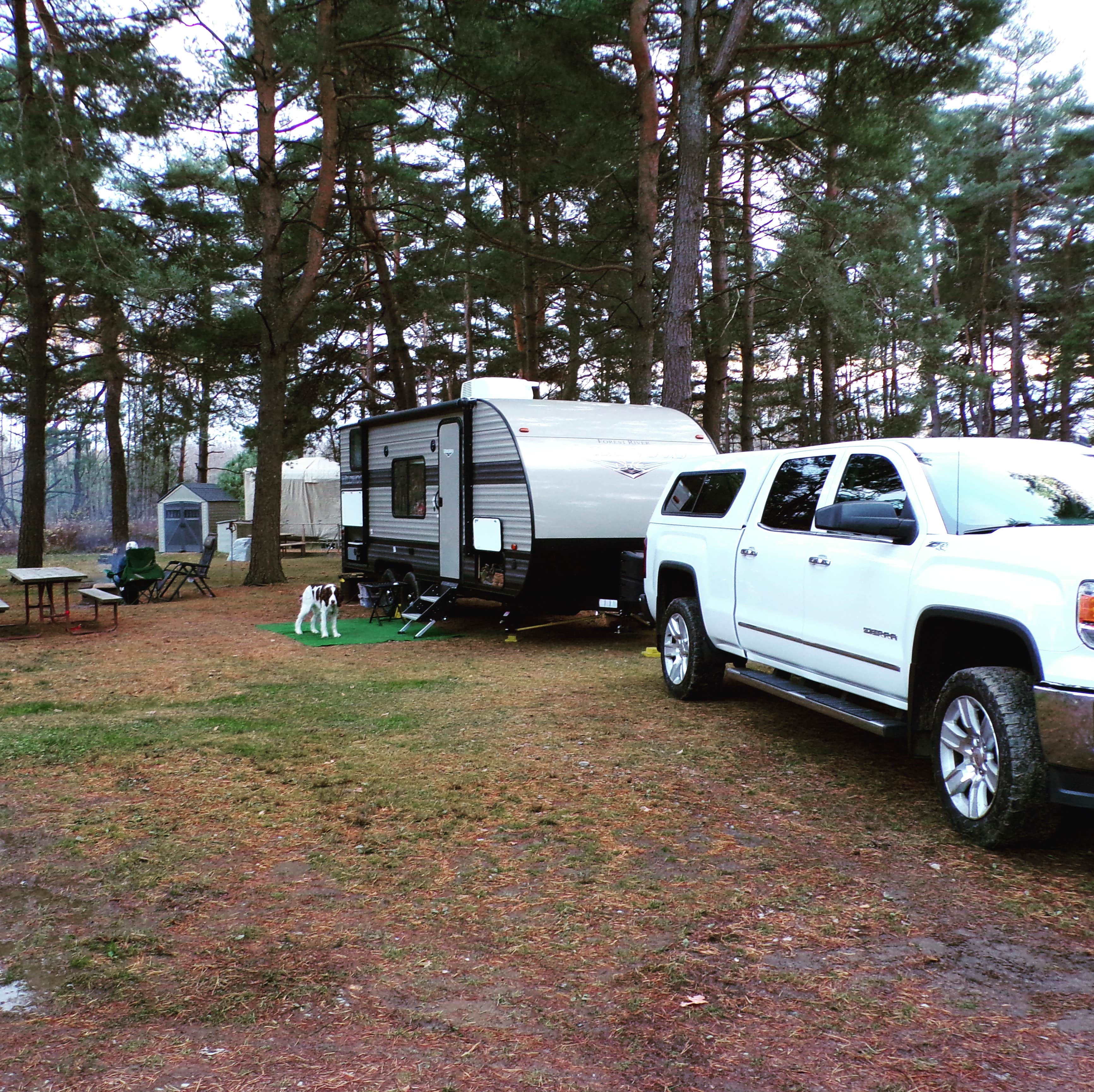 Ryan P.'s photo of rv camping at High Pines RV Park near Marienville, PA