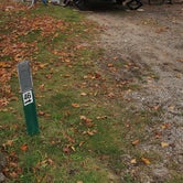 Review photo of Magnus Park Campground by Jeffrey S., October 28, 2020