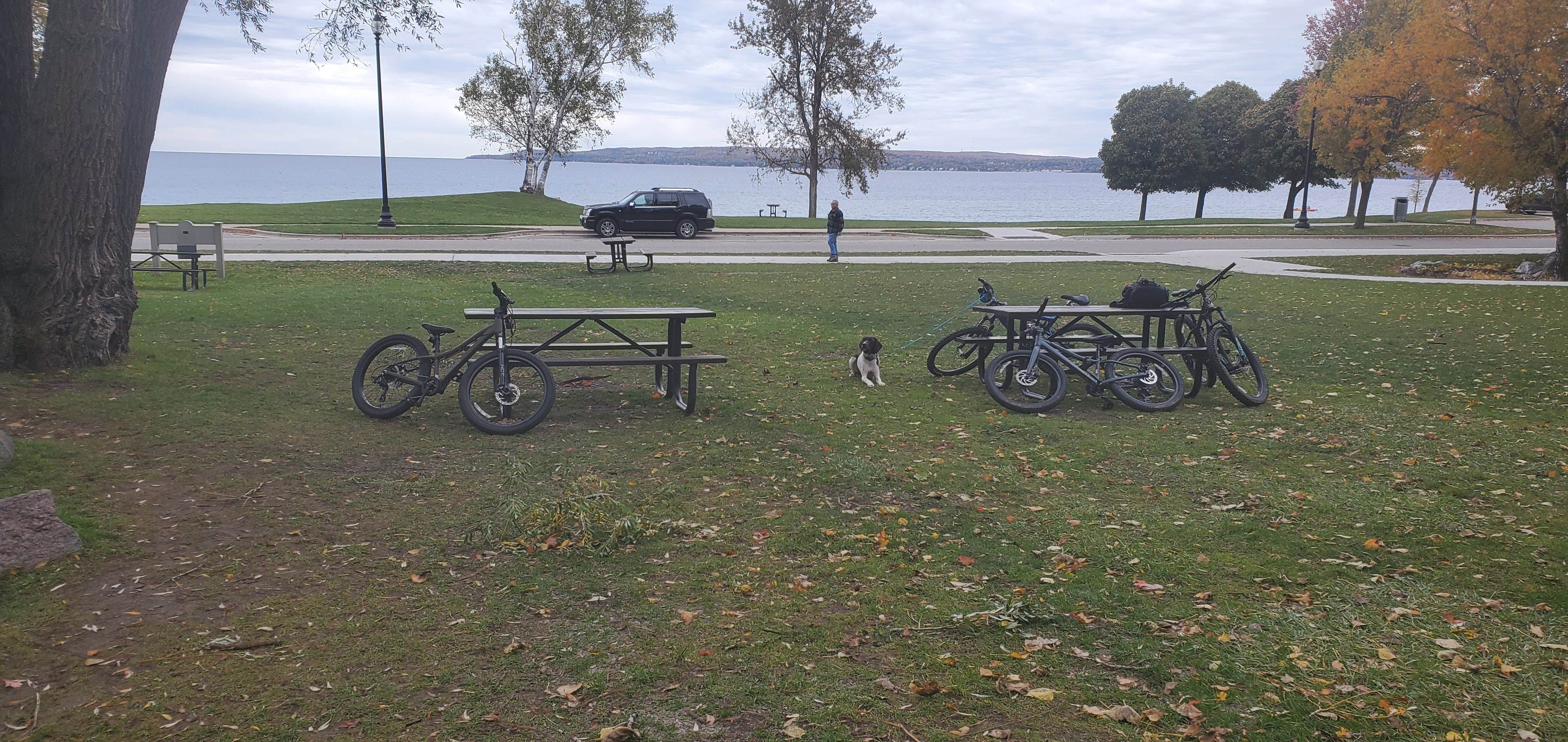 Jeffrey S.'s photo of camping with pets at Magnus Park Campground in Michigan