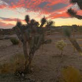 Review photo of Happy Trails Campground & Mini Motel by Whitney W., October 28, 2020