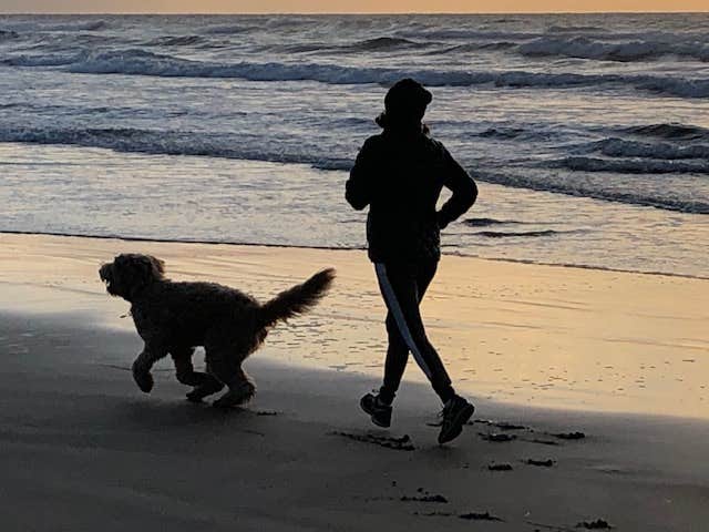 Mark's photo of camping with pets at Beverly Beach State Park Campground in Oregon