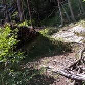 Review photo of Beaver Pond Campground — Harriman State Park by Esther L., October 28, 2020