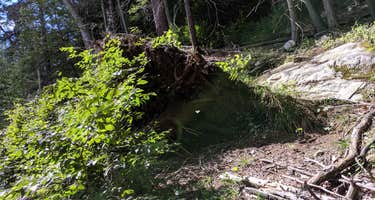 Harriman State Park/Beaver Pond