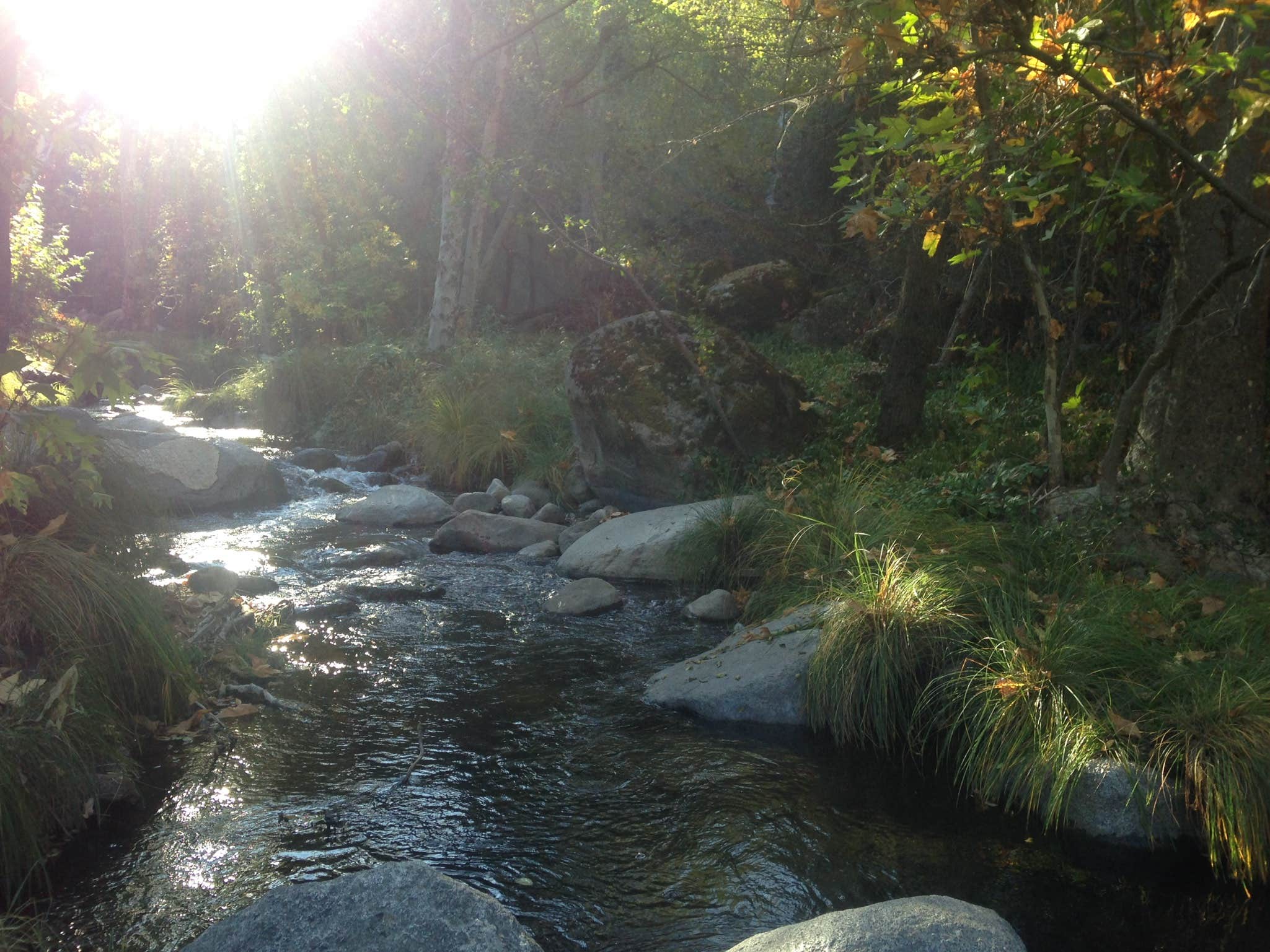 Camper submitted image from Leavis Flat Campground - 3