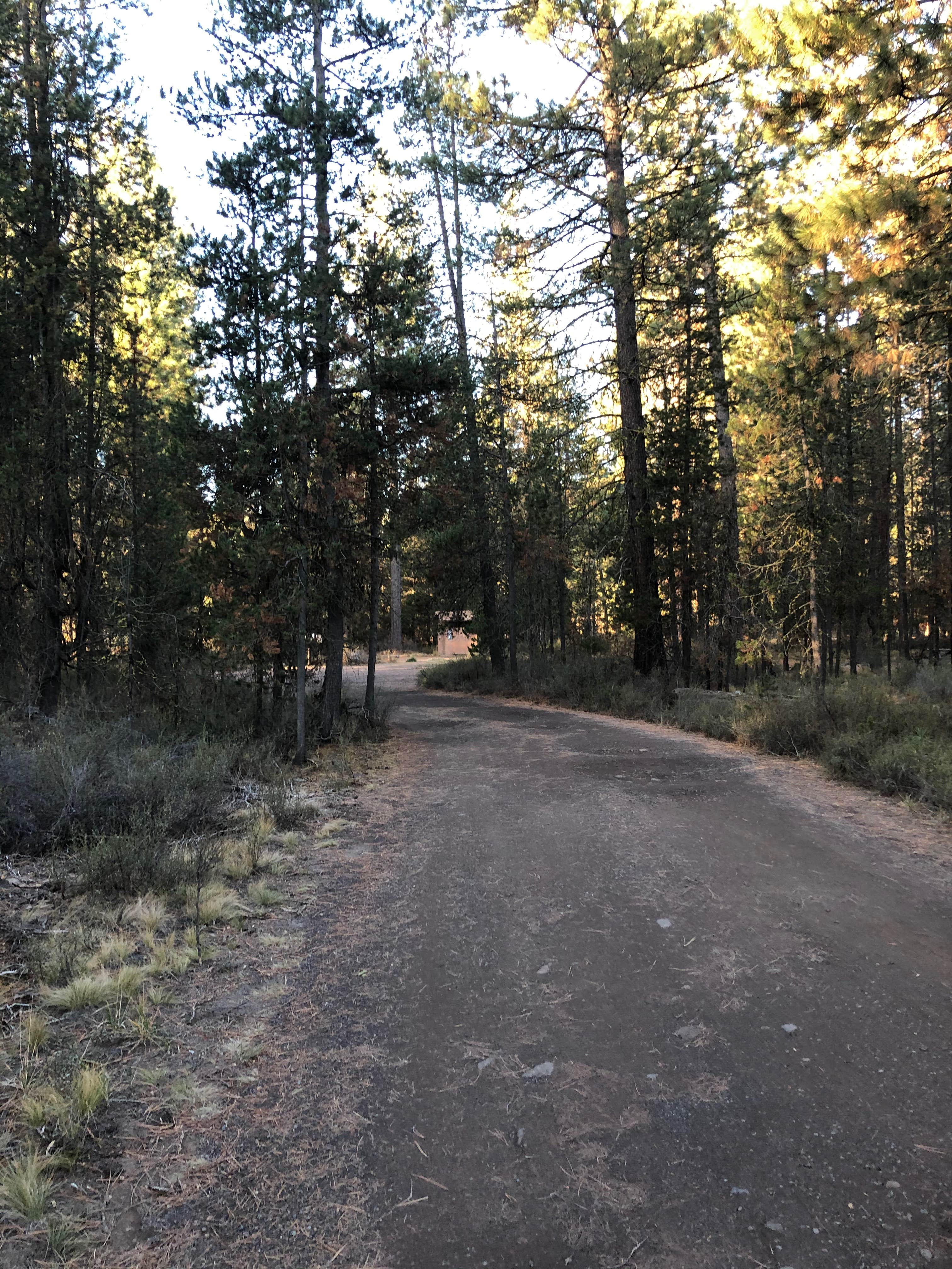 Camper submitted image from Big River Campground - 4