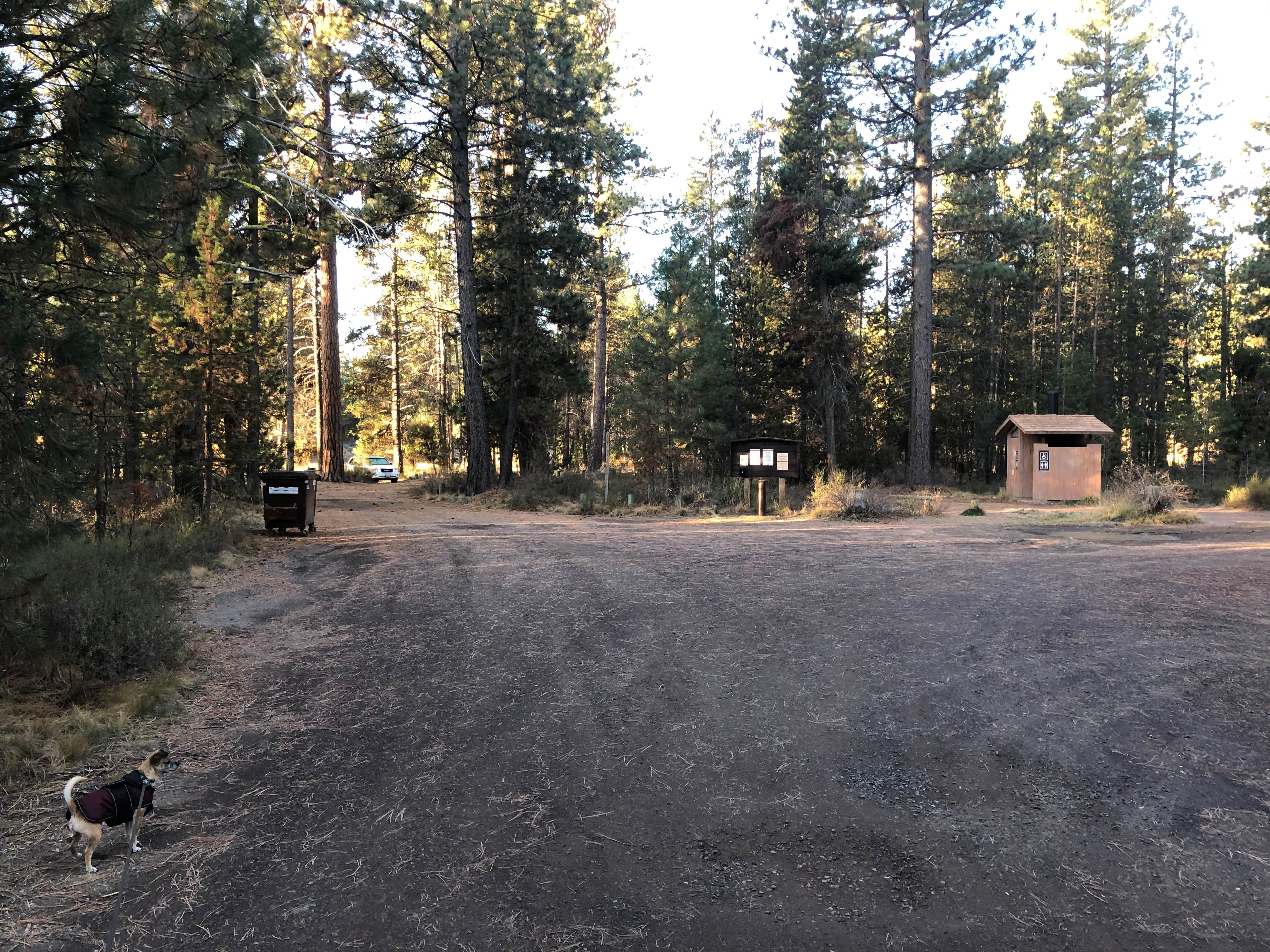 Ashley B.'s photo of camping with pets at Big River Campground near Deschutes & Ochoco National Forests & Crooked River National Grassland