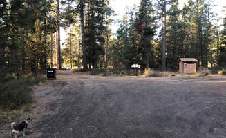 Ashley B.'s photo of camping with pets at Big River Campground near Deschutes & Ochoco National Forests & Crooked River National Grassland