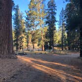 Review photo of Big River Campground by Ashley B., October 28, 2020