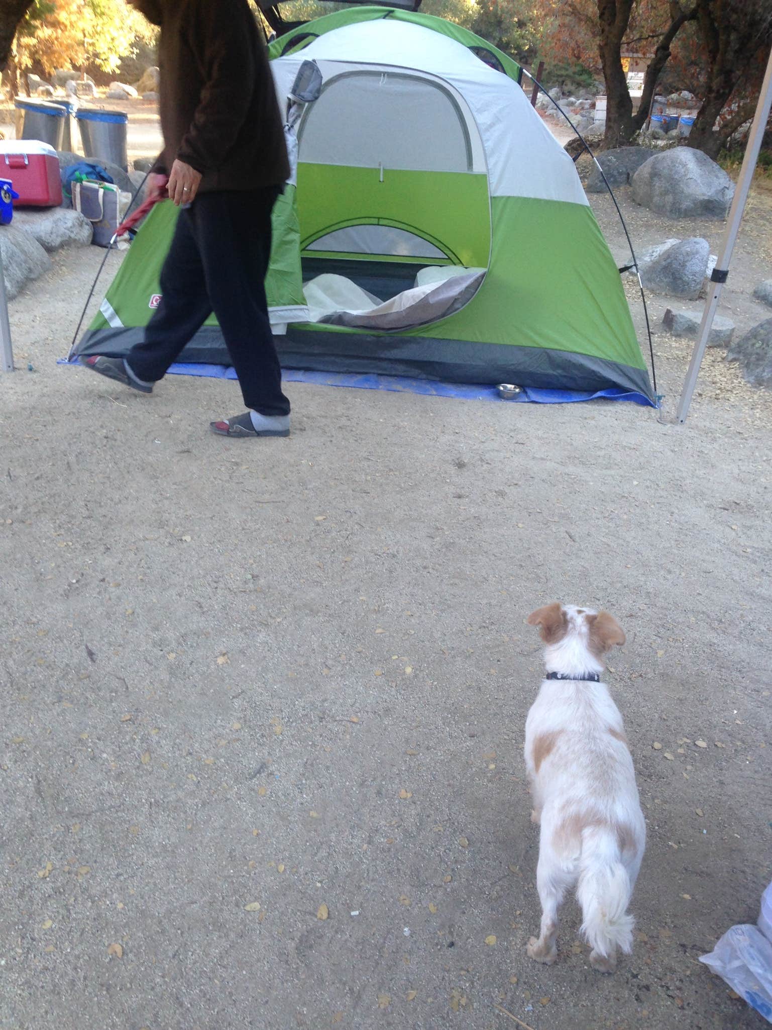 Camper submitted image from Leavis Flat Campground - 2