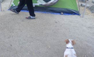 Patrick H.'s photo at Leavis Flat Campground near Sunland, CA