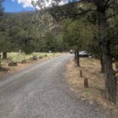 Review photo of Big Bend Campground by Ashley B., October 28, 2020