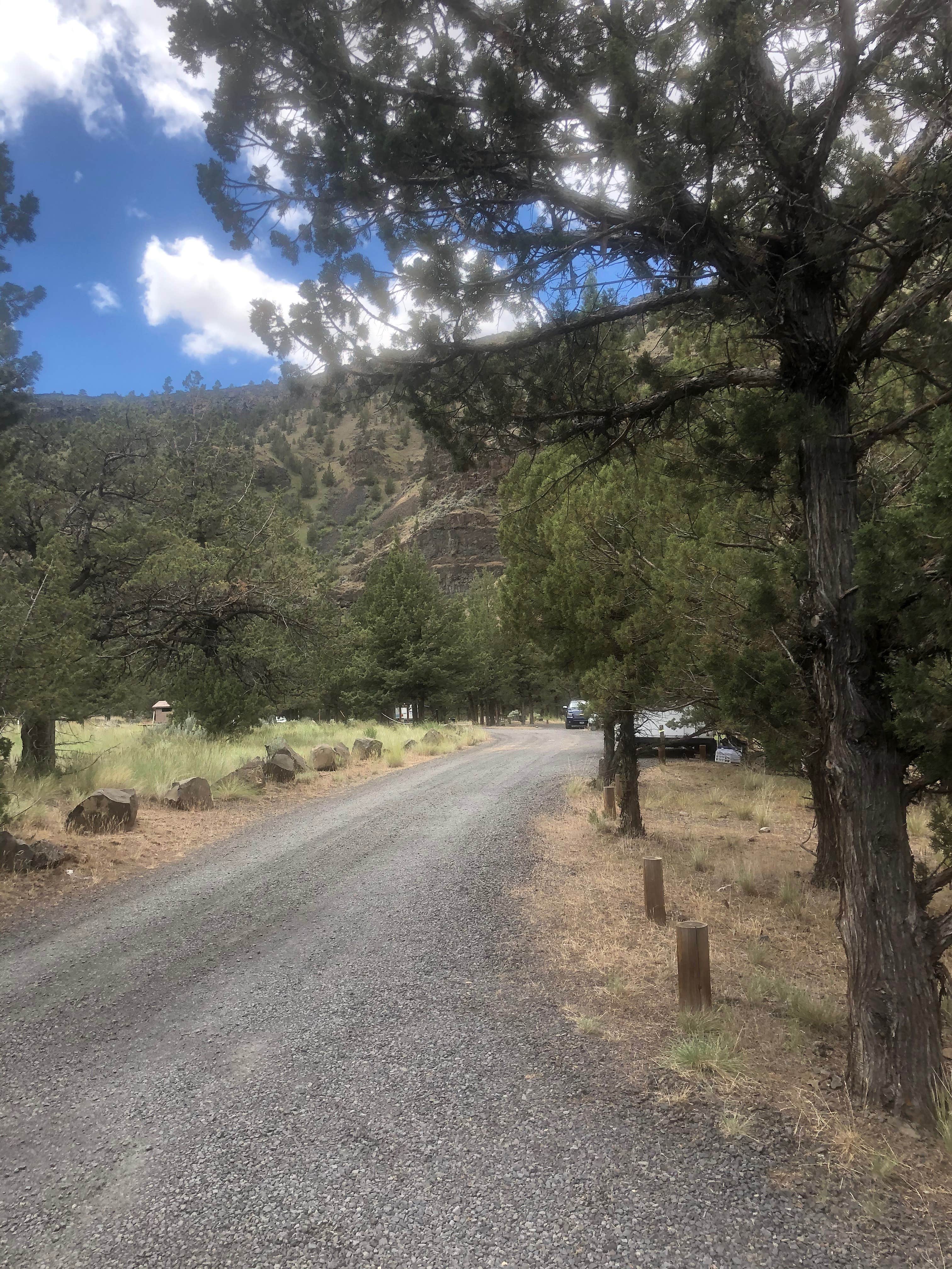 Camper submitted image from Big Bend Campground - 4