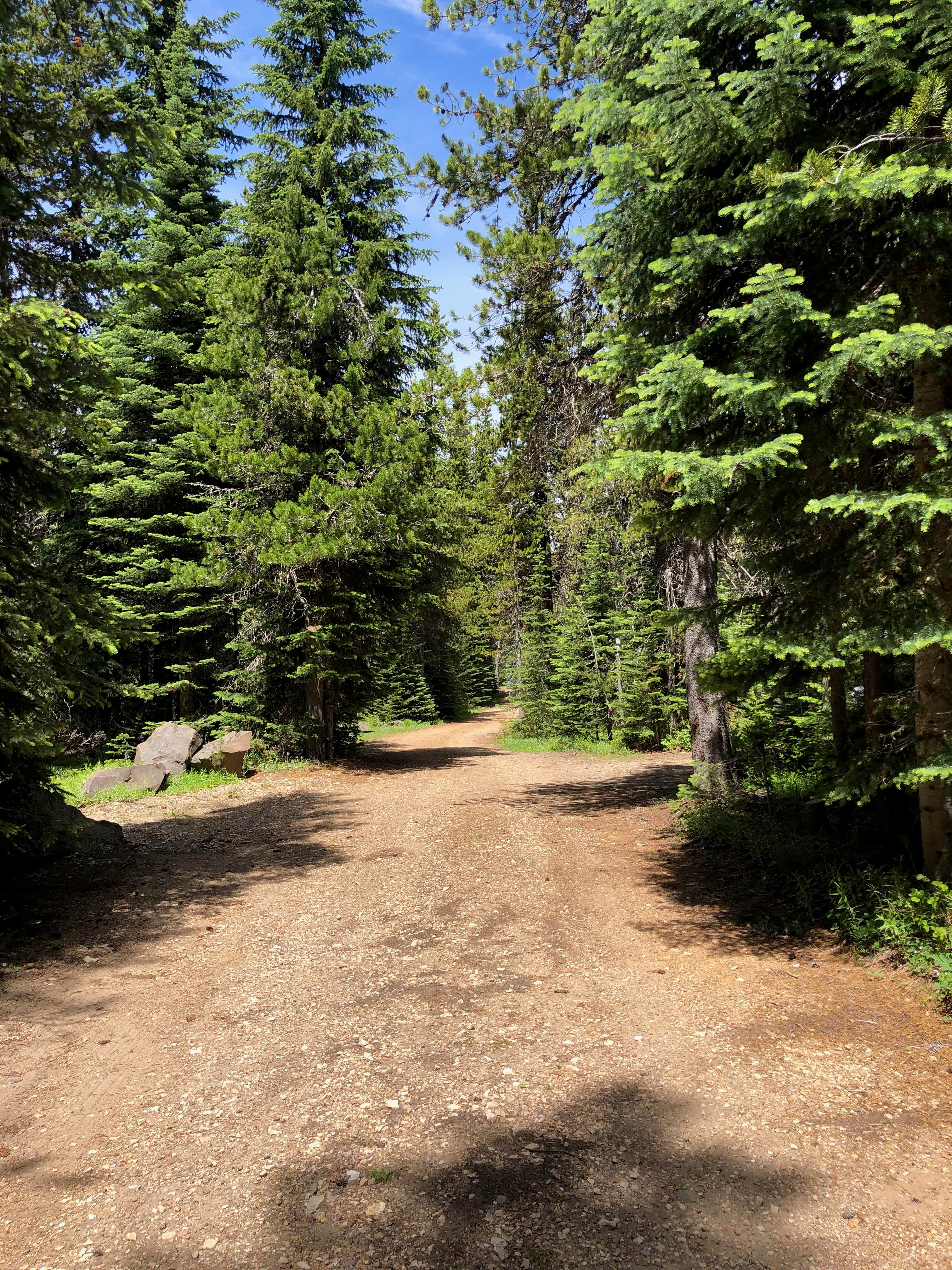 Camper-submitted photo at Keenes Horse Campground near Gifford Pinchot National Forest