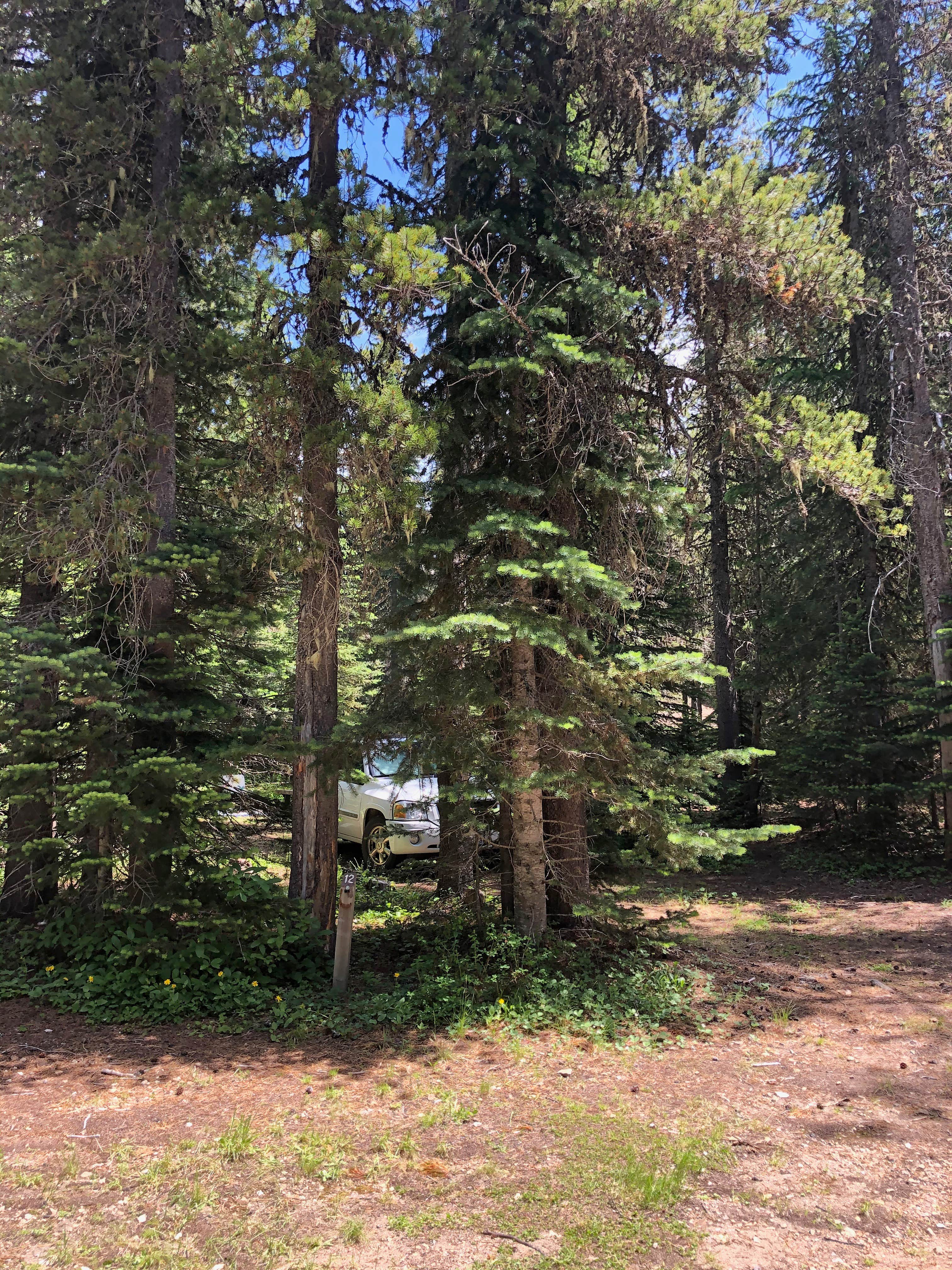 Camper-submitted photo at Keenes Horse Campground near Gifford Pinchot National Forest