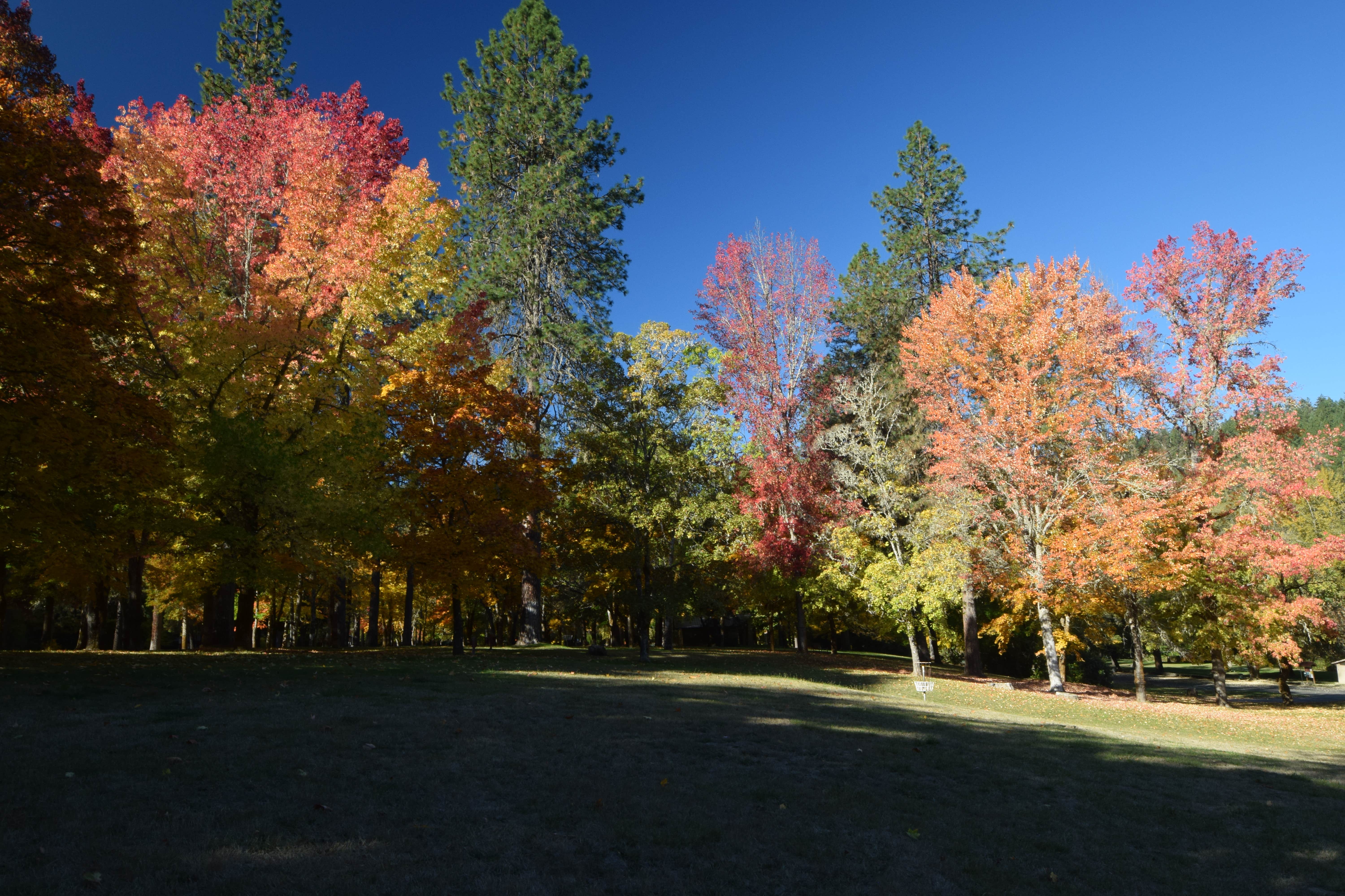 Camper-submitted photo at Indian Mary Park near Wolf Creek, OR