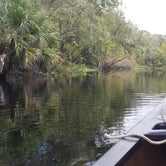Review photo of Wekiwa Springs State Park Campground by Timothy B., October 28, 2020