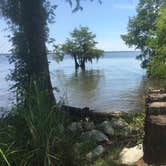 Review photo of Cypress View Campground — Santee State Park by Matt G., July 9, 2016