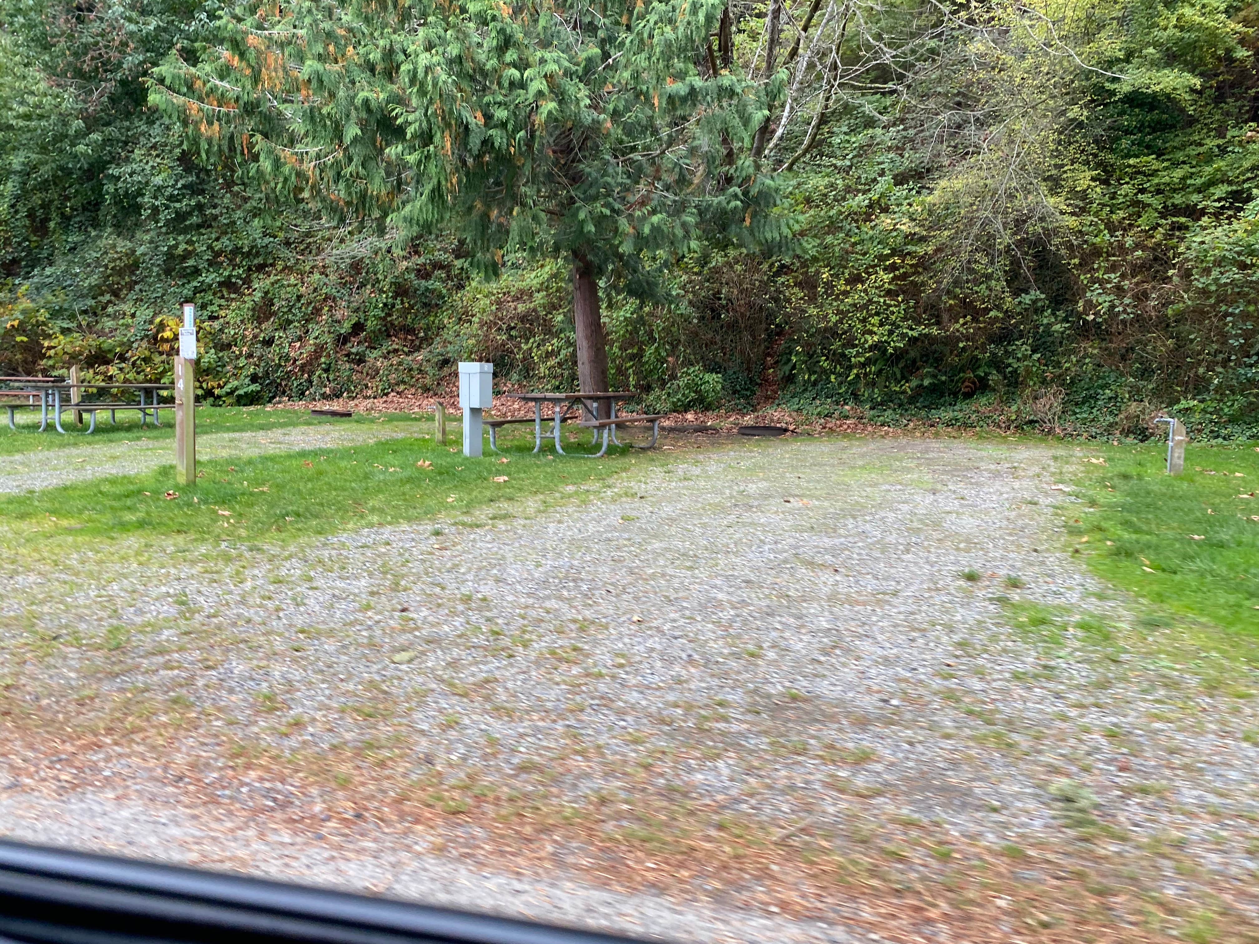 Camper submitted image from Fay Bainbridge Park - 3