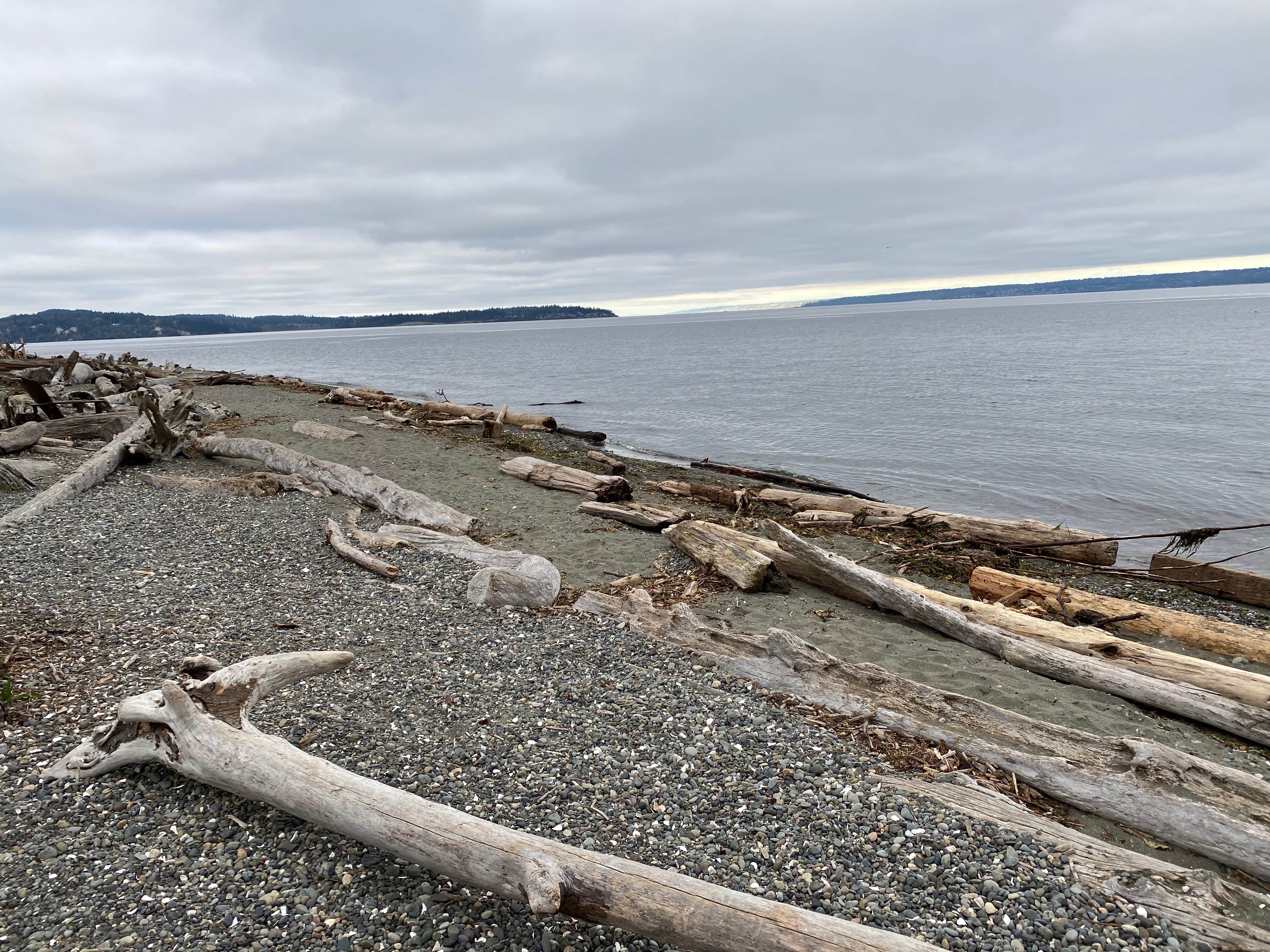 Camper-submitted photo at Fay Bainbridge Park near Port Ludlow, WA