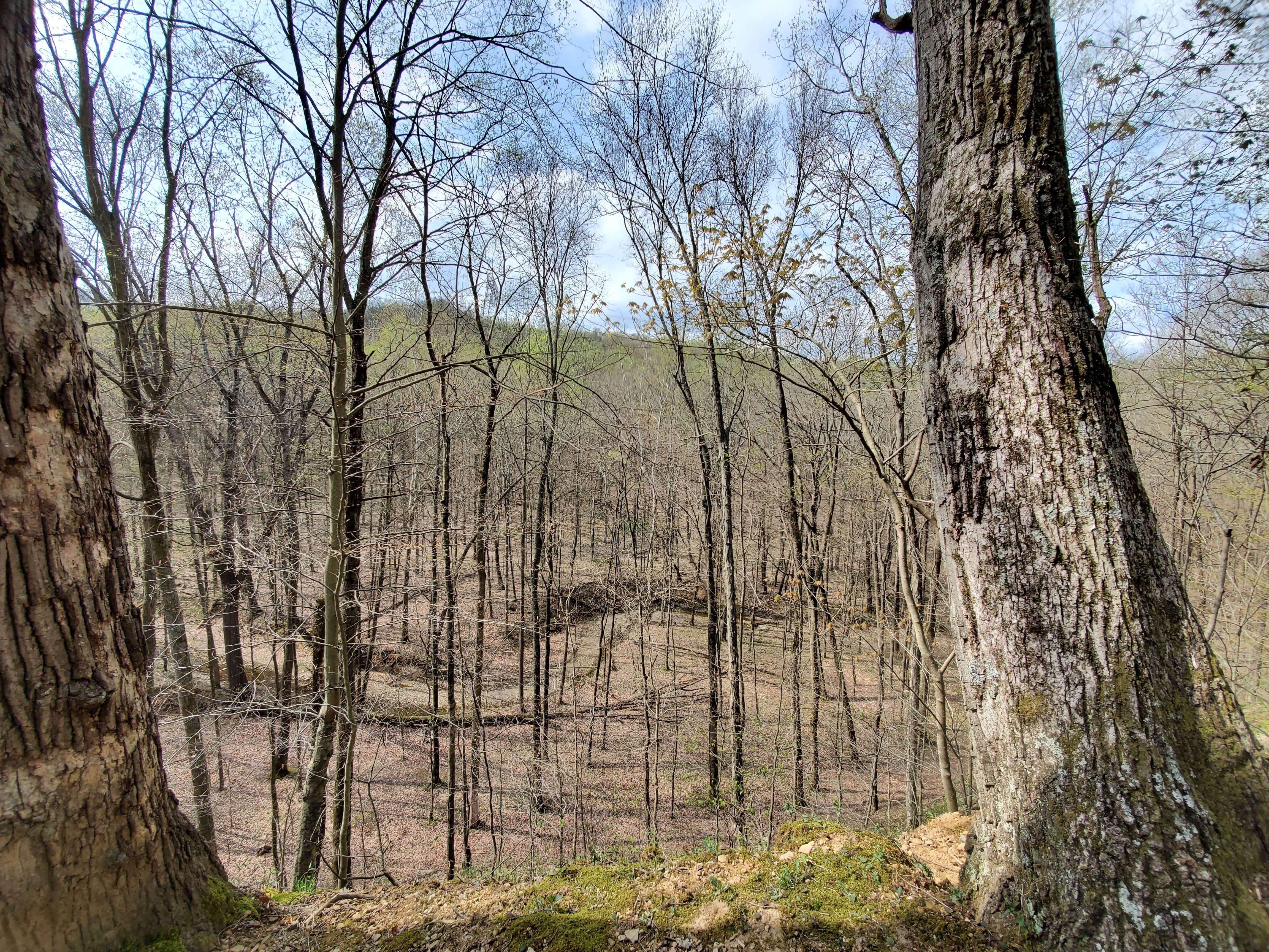 Knobstone Trail Camping Borden IN