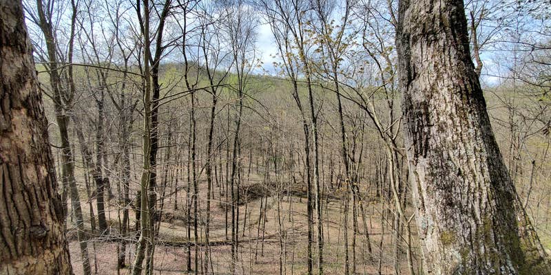 Camper submitted image from Knobstone Trail