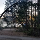 Review photo of North Twin Lake Campground by Letha H., May 22, 2018