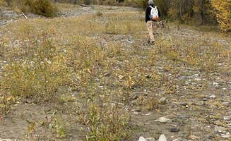 Jade G.'s photo of camping with pets at Lily Lake - TEMPORARILY CLOSED near Cody, WY
