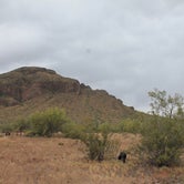 Review photo of Picacho Peak State Park Campground by Jeannie B., October 28, 2020