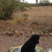 Review photo of Picacho Peak State Park Campground by Jeannie B., October 28, 2020