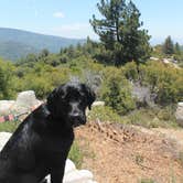 Review photo of Idyllwild Campground by Jeannie B., October 29, 2020