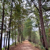 Review photo of Daingerfield State Park by Clari R., October 29, 2020