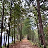 Review photo of Daingerfield State Park Campground by Clari R., October 29, 2020