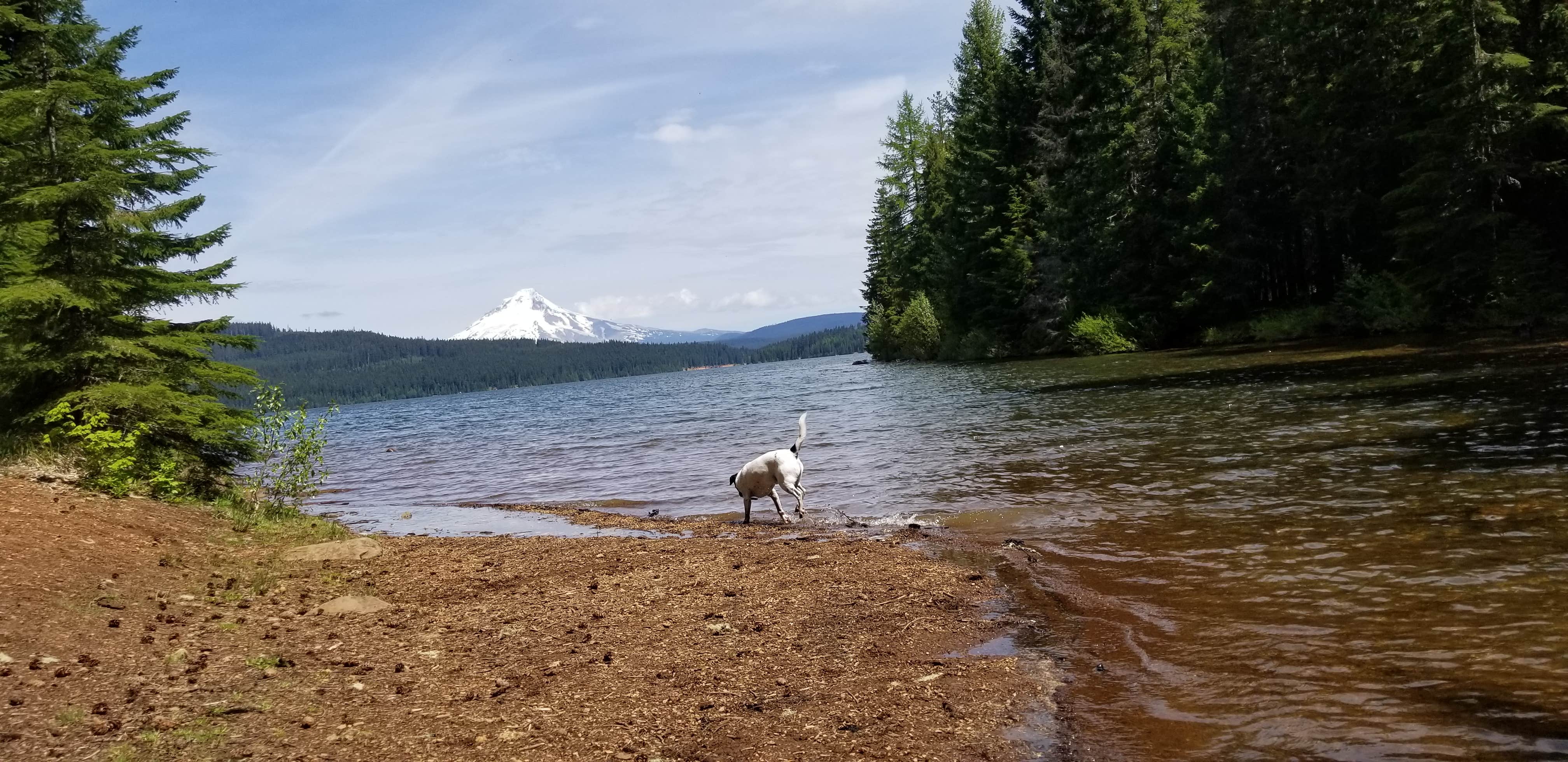 Camper submitted image from Meditation Point Campground - 3