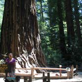 Review photo of Big Basin Redwoods State Park — Big Basin Redwoods State Park - CAMPGROUND CLOSED by Jeannie B., October 29, 2020