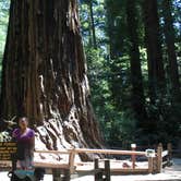 Review photo of Lower Blooms Creek — Big Basin Redwoods State Park — CAMPGROUND CLOSED by Jeannie B., October 29, 2020