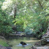 Review photo of Lower Blooms Creek — Big Basin Redwoods State Park — CAMPGROUND CLOSED by Jeannie B., October 29, 2020